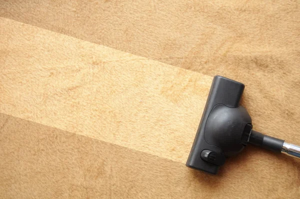 Professional Carpet Cleaning in action